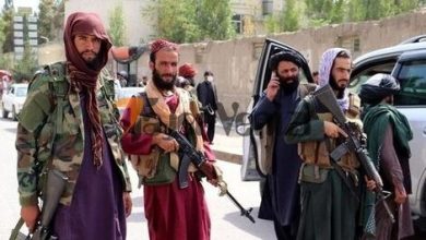 خودرو مورد علاقه طالبان و داعش چیست؟ + عکس –   تاجر ونیز
