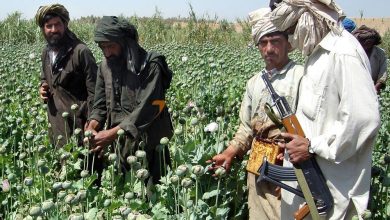 فلاحت‌پیشه: «شاهرگ» ترانزیت موادمخدر طالبان از ایران را بزنید /  خزانه آنان را از این «پول کثیف» کلان محروم کنید
 –   تاجر ونیز
