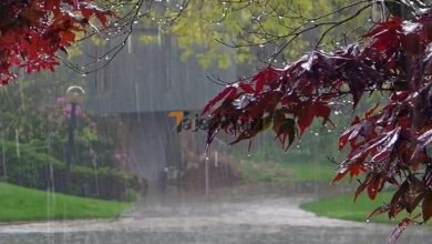 هشدار هواشناسی؛بارش شدید باران برای ۵ استان در راه است –   تاجر ونیز