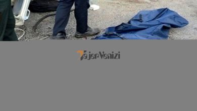 کشف جسد پزشک معروف تهرانی در کنار ریل قطار + جزئیات –   تاجر ونیز