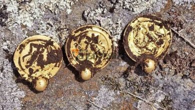 کشف گنج شاهنشاهی در «تپه مردگان»‌ در نزدیکی زاهدان + عکس –   تاجر ونیز