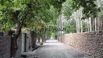 دیدنی‌ترین روستاهای رابر در کرمان –   تاجر ونیز