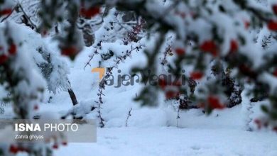 بارش برف در تهران از این روز + جزییات –   تاجر ونیز