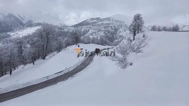 مشاهده «شوکا» و توله اش در کوه های برفی سیاهکل در گیلان + فیلم –   تاجر ونیز