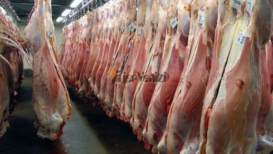 قیمت گوشت نجومی شد | افزایش شدید قیمت گوشت قرمز در بازار برای امروز شنبه ۴ فروردین ۱۴۰۳ –   تاجر ونیز