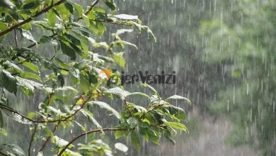 هشدار هواشناسی؛ بارش باران و باد شدید در راه است + فیلم –   تاجر ونیز